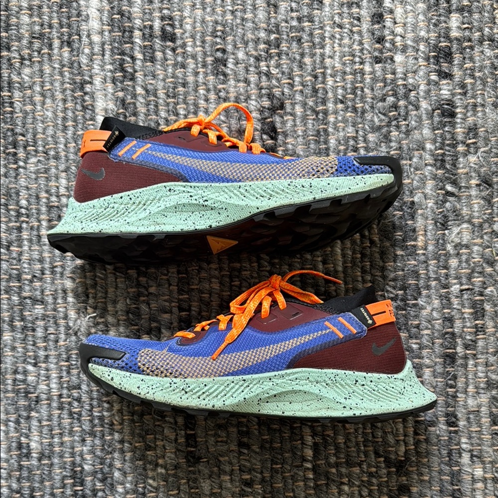 Nike Pegasus Trail 2 Gore-tex